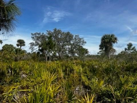 En Venta: $196,000 (10.00 acres)