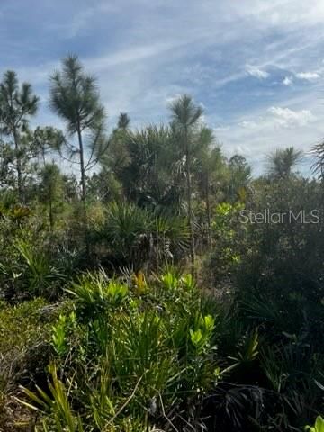 En Venta: $196,000 (10.00 acres)