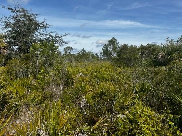 En Venta: $196,000 (10.00 acres)