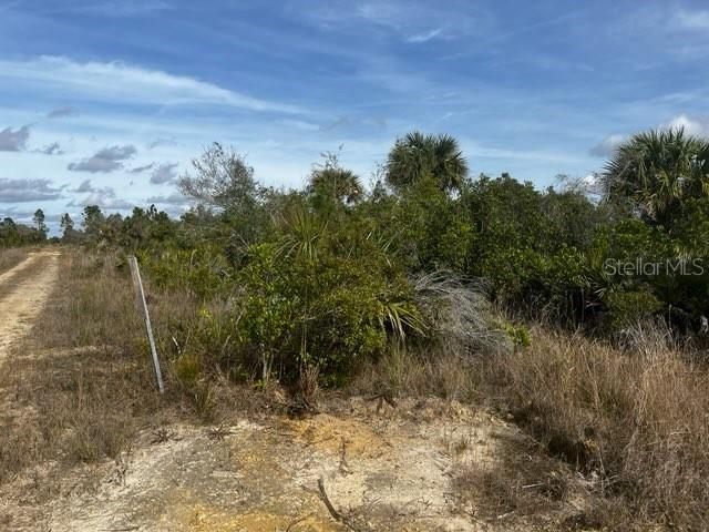 En Venta: $196,000 (10.00 acres)