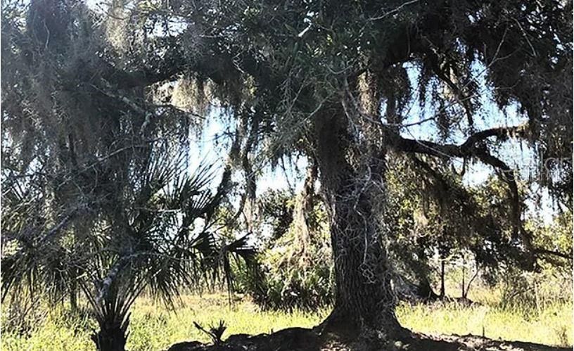 For Sale: $49,000 (1.26 acres)