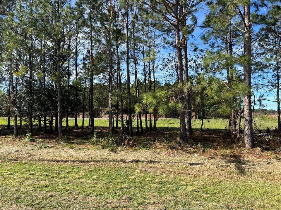 Vendido Recientemente: $355,000 (5.30 acres)