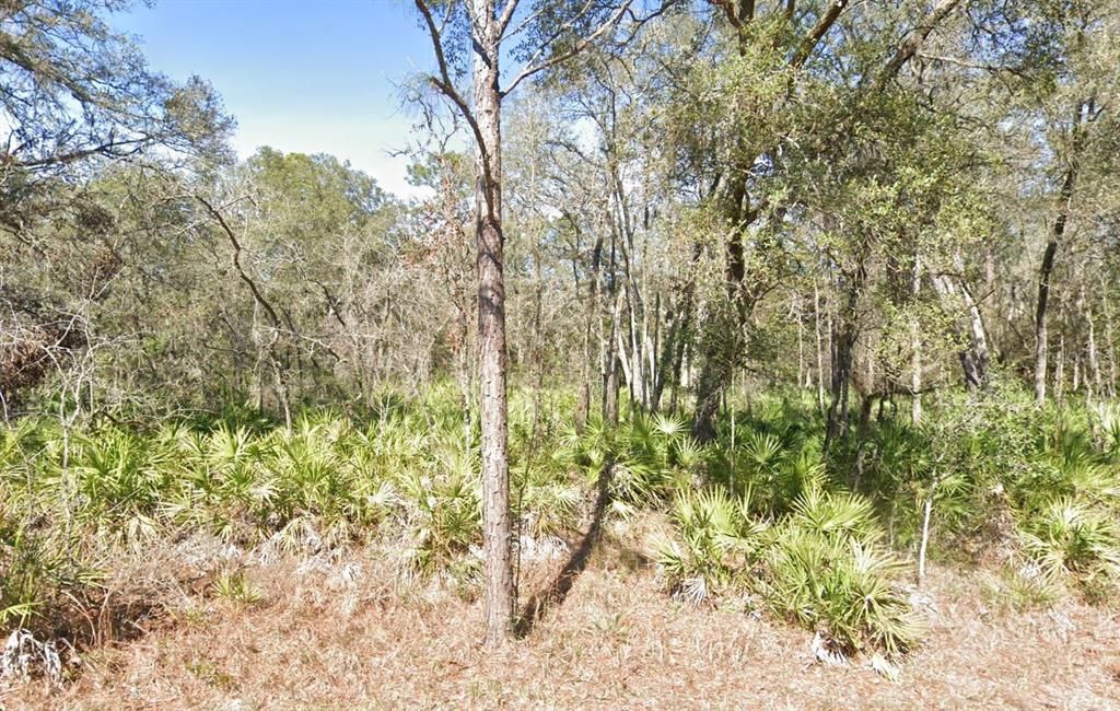 Recently Sold: $28,900 (1.16 acres)
