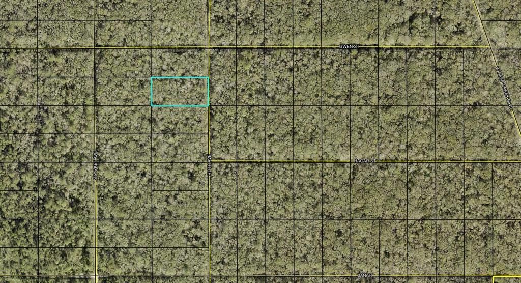 For Sale: $11,900 (1.14 acres)