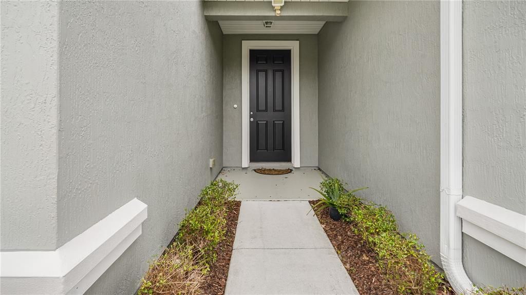 Front Entry Door