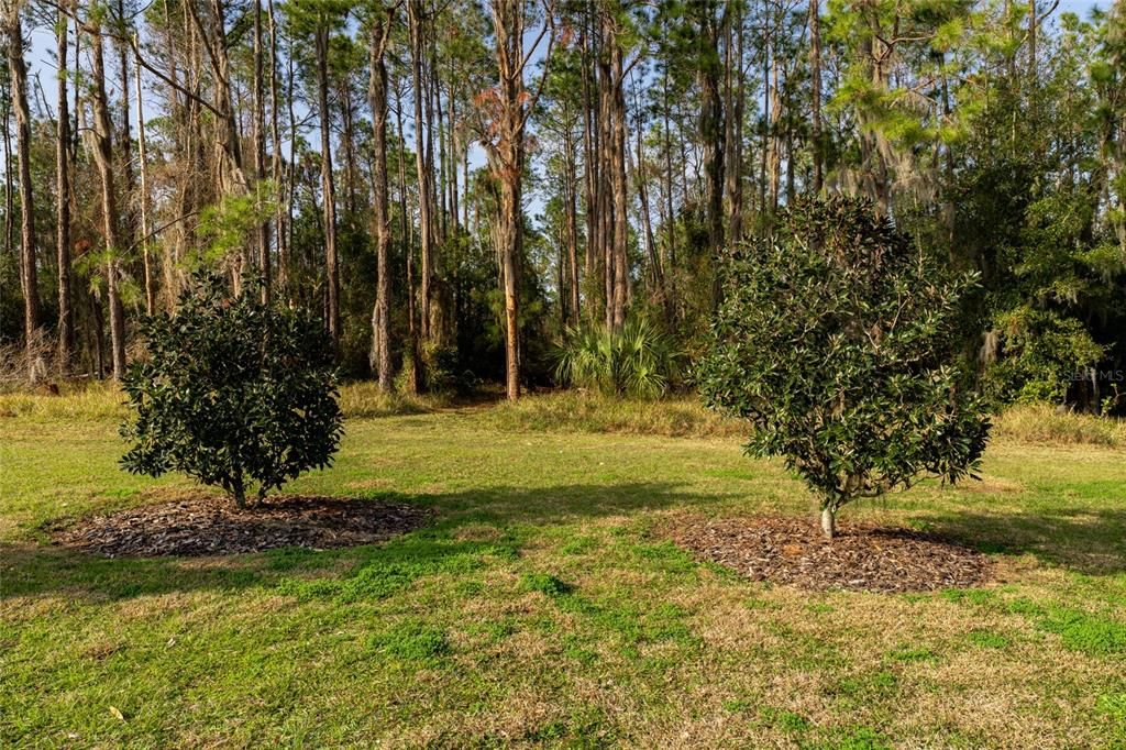 待售: $2,599,000 (5 贝兹, 5 浴室, 6562 平方英尺)