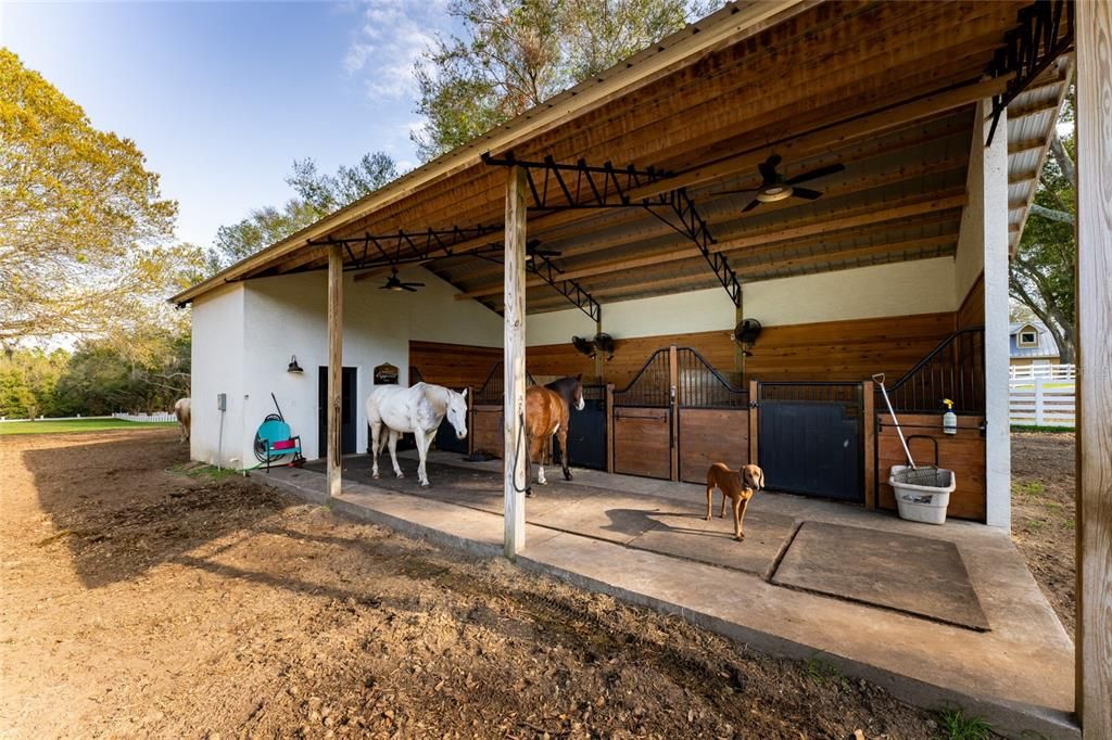 待售: $2,599,000 (5 贝兹, 5 浴室, 6562 平方英尺)