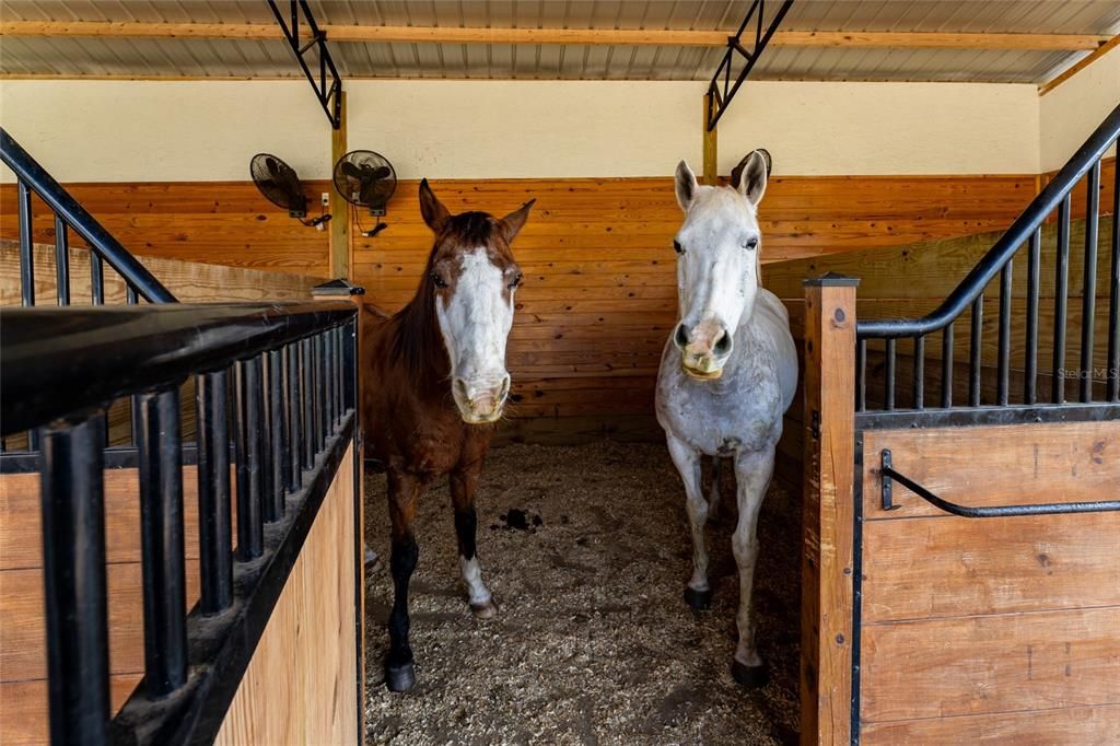 待售: $2,599,000 (5 贝兹, 5 浴室, 6562 平方英尺)