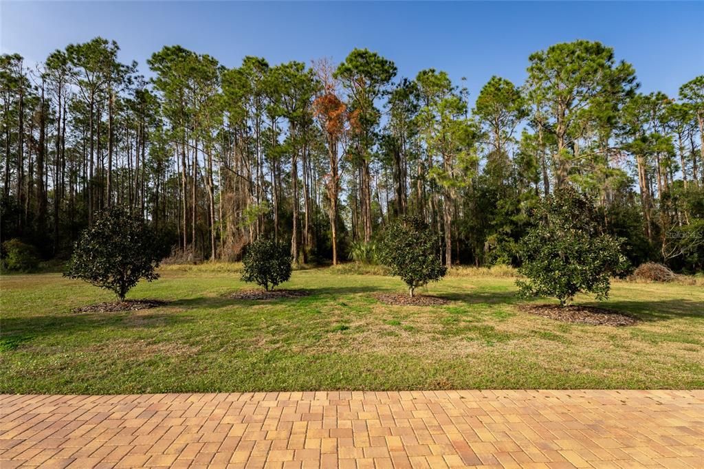 待售: $2,599,000 (5 贝兹, 5 浴室, 6562 平方英尺)