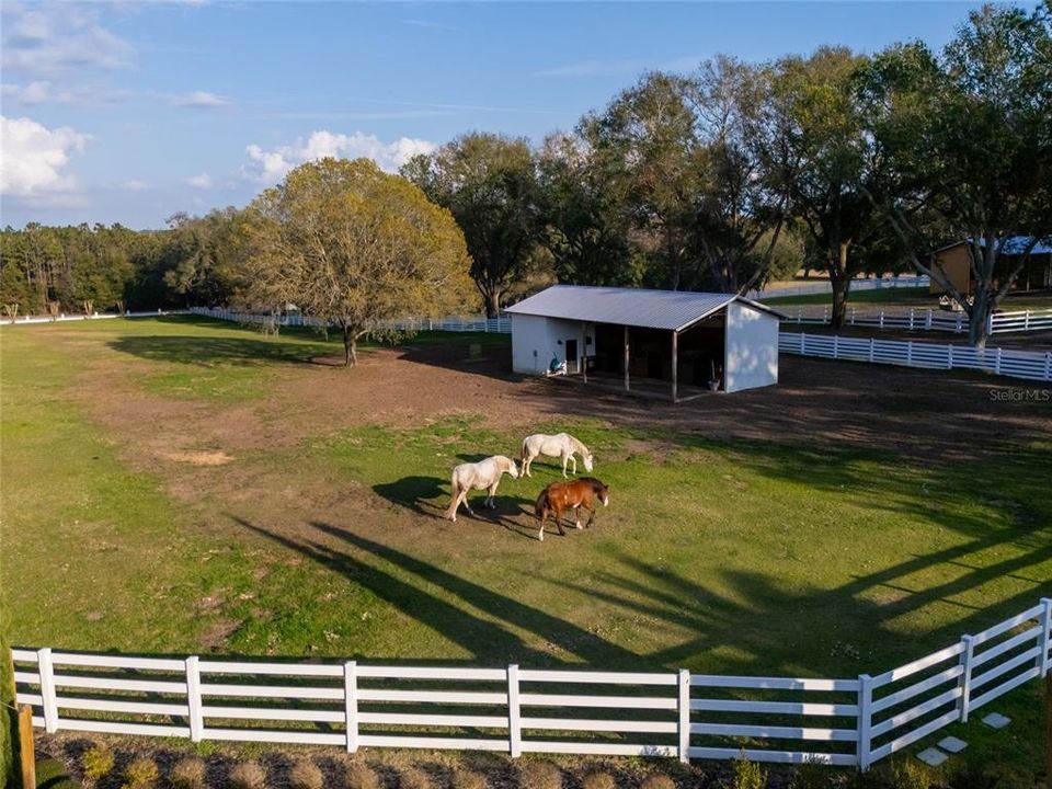 待售: $2,599,000 (5 贝兹, 5 浴室, 6562 平方英尺)