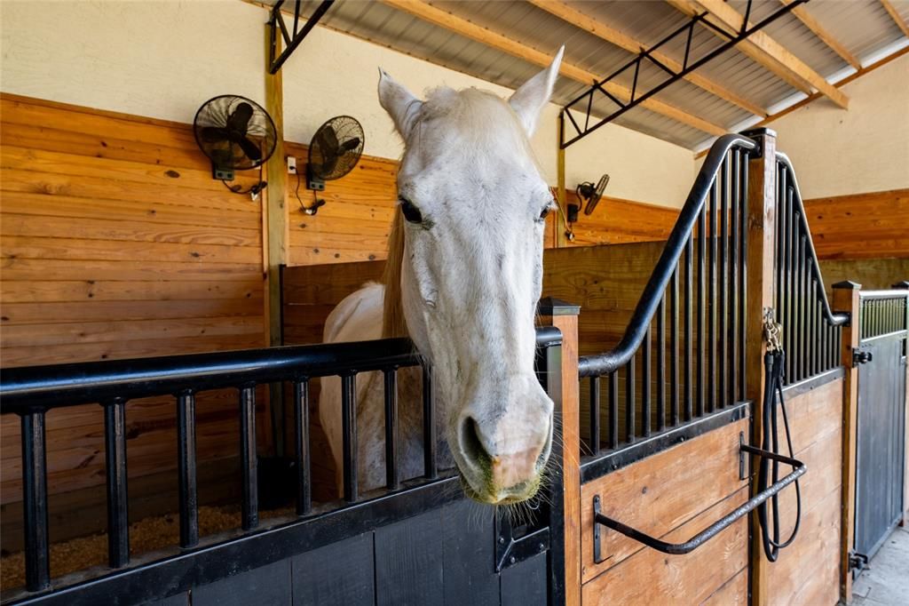 待售: $2,599,000 (5 贝兹, 5 浴室, 6562 平方英尺)