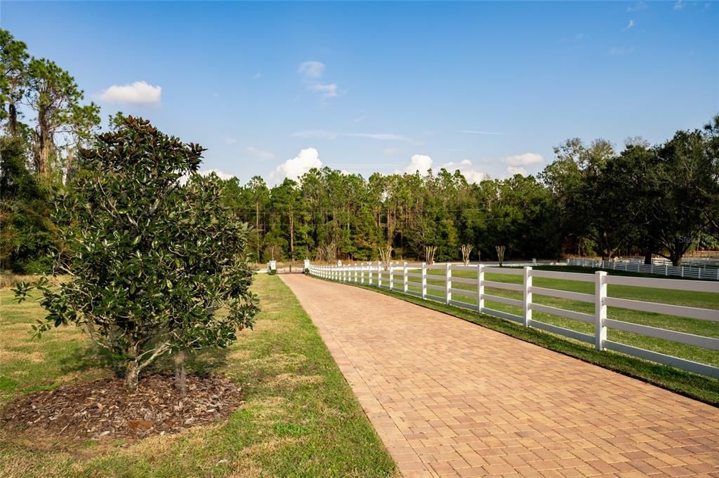 待售: $2,599,000 (5 贝兹, 5 浴室, 6562 平方英尺)