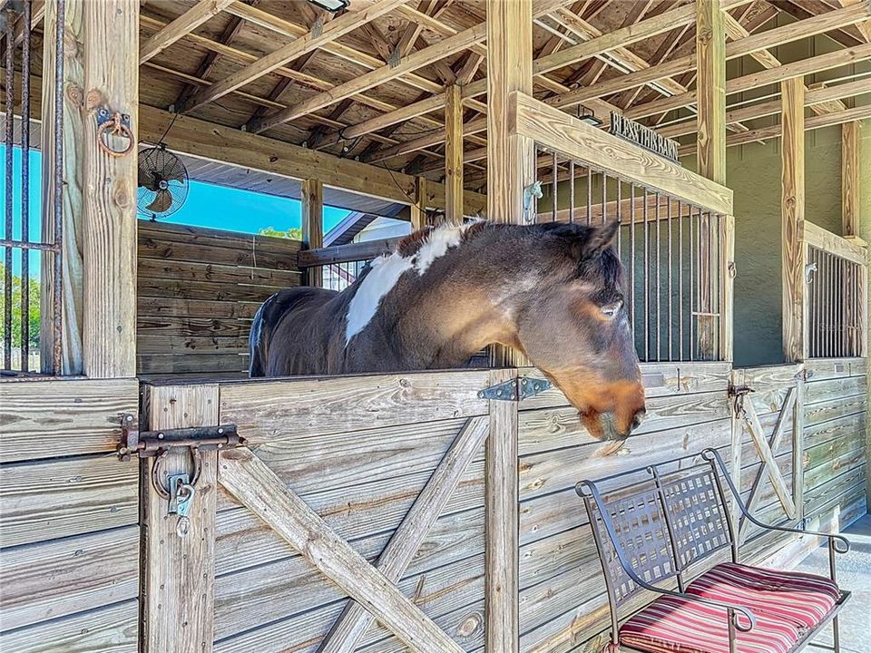 En Venta: $1,149,999 (3 camas, 2 baños, 1884 Pies cuadrados)