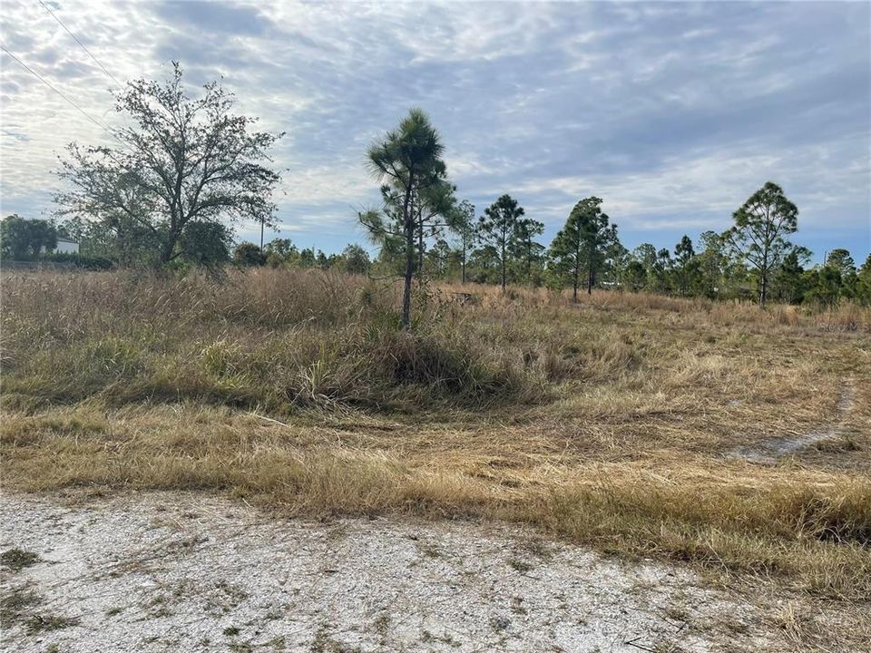 Под контрактом: $85,500 (1.25 acres)