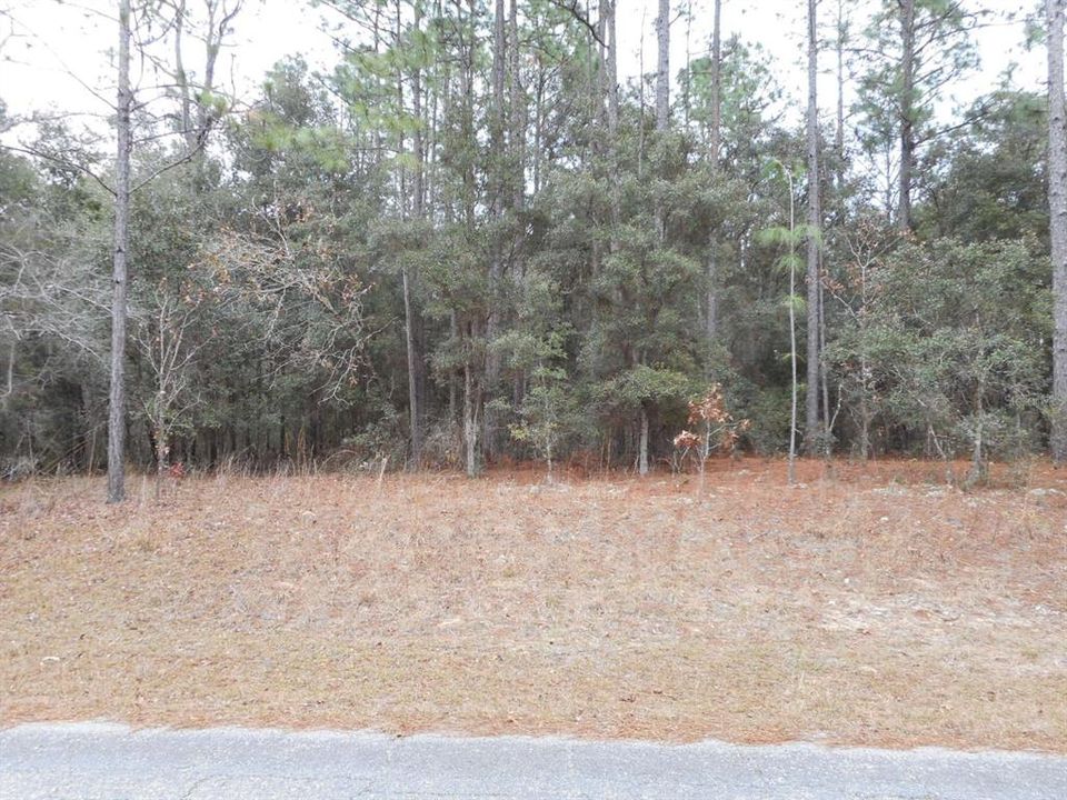最近售出: $23,000 (0.34 acres)