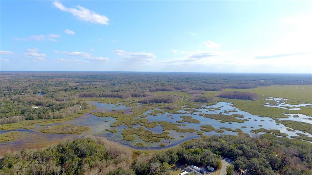 Tsala Apopka Chain of Lakes