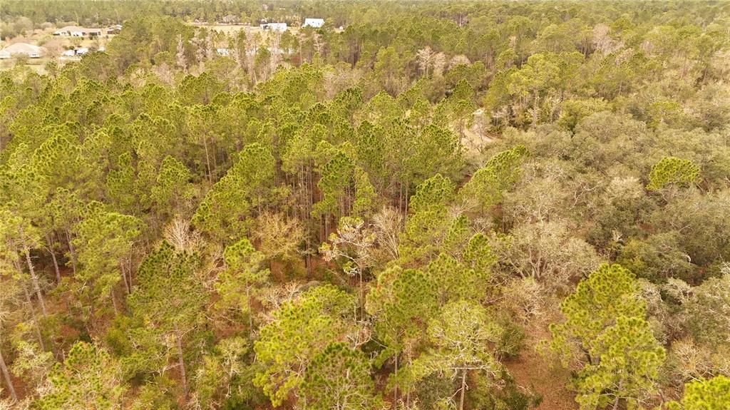 For Sale: $305,000 (5.24 acres)