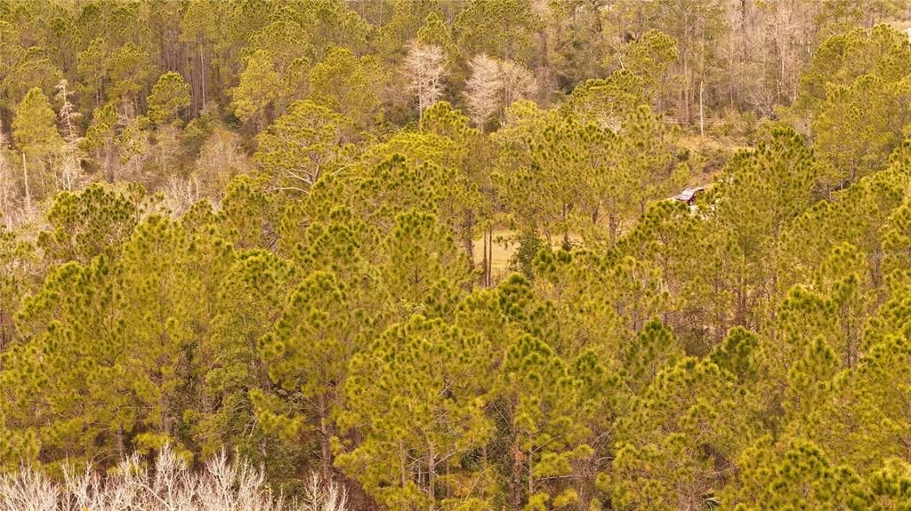 For Sale: $305,000 (5.24 acres)