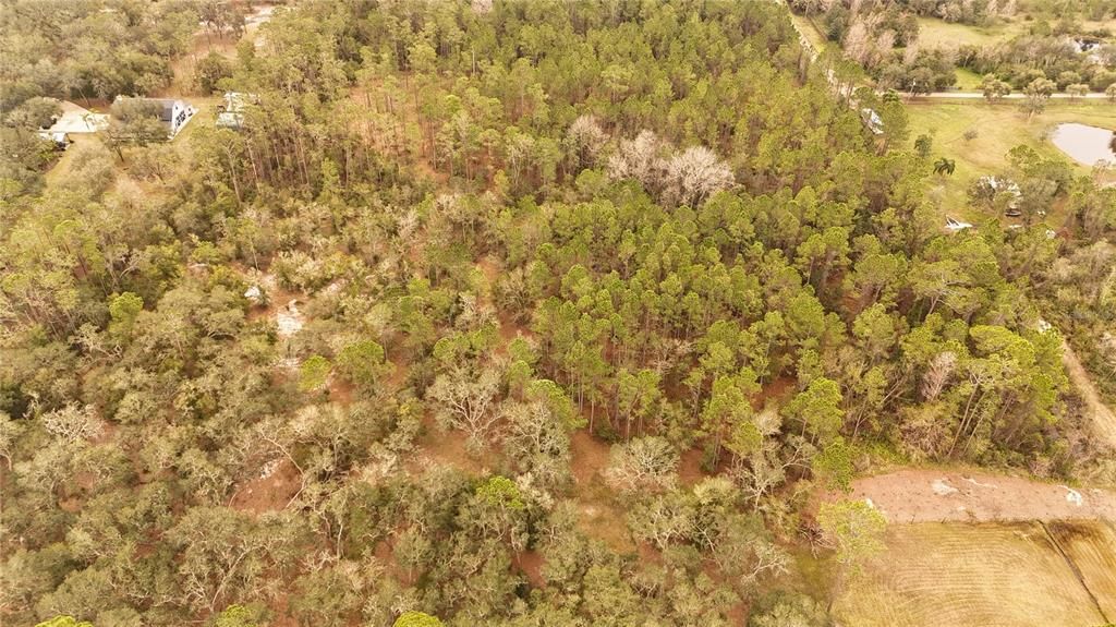 For Sale: $305,000 (5.24 acres)