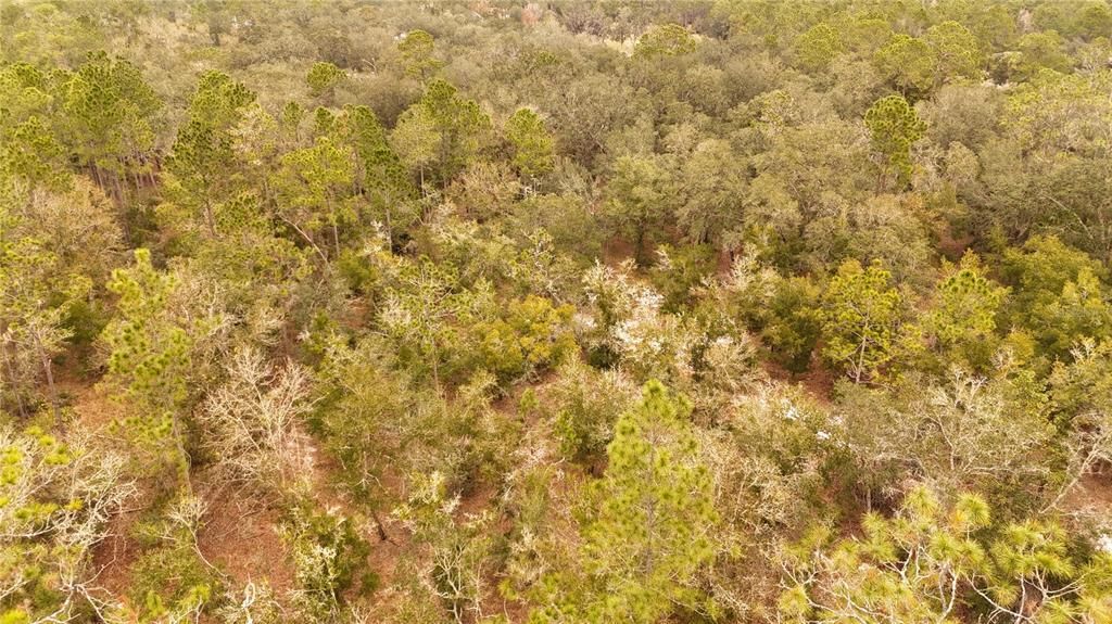 For Sale: $305,000 (5.24 acres)