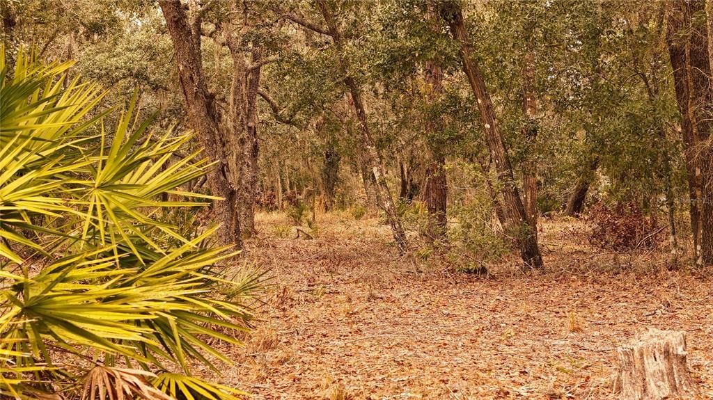 For Sale: $305,000 (5.24 acres)