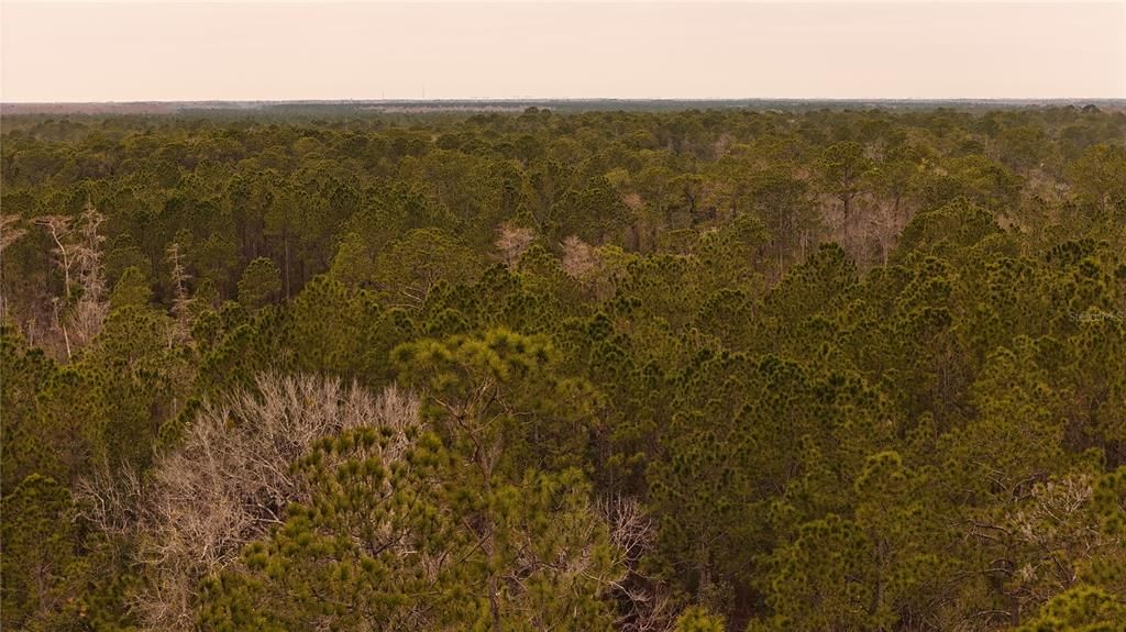 For Sale: $305,000 (5.24 acres)