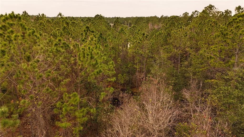 For Sale: $305,000 (5.24 acres)