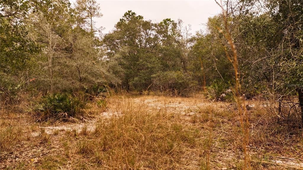 For Sale: $305,000 (5.24 acres)