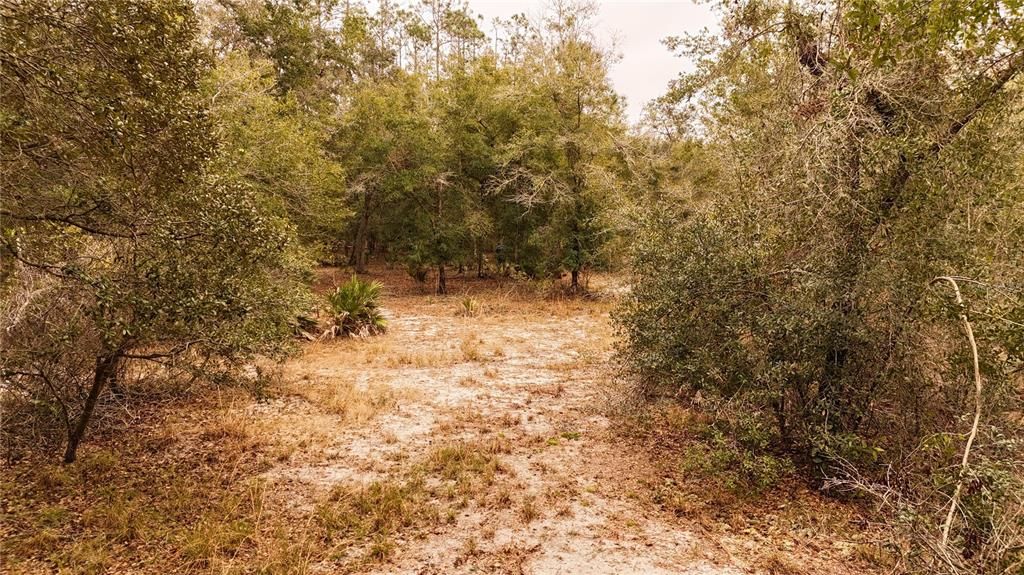 For Sale: $305,000 (5.24 acres)