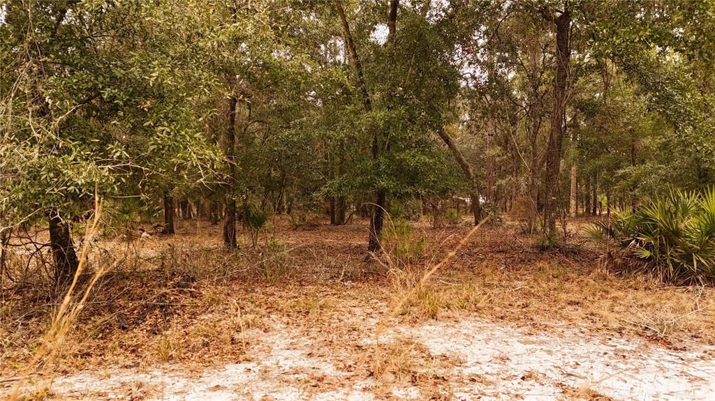 For Sale: $305,000 (5.24 acres)