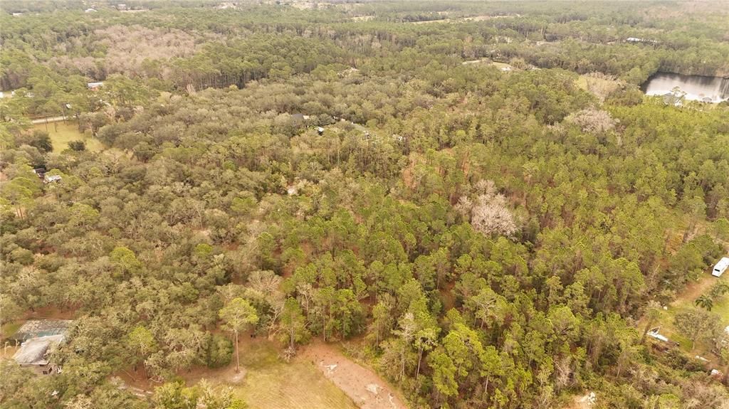 For Sale: $305,000 (5.24 acres)