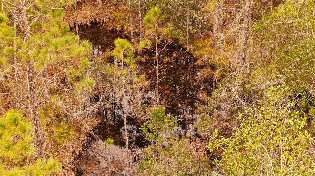 For Sale: $305,000 (5.24 acres)