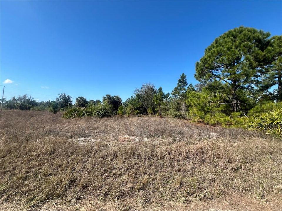 最近售出: $22,000 (0.25 acres)