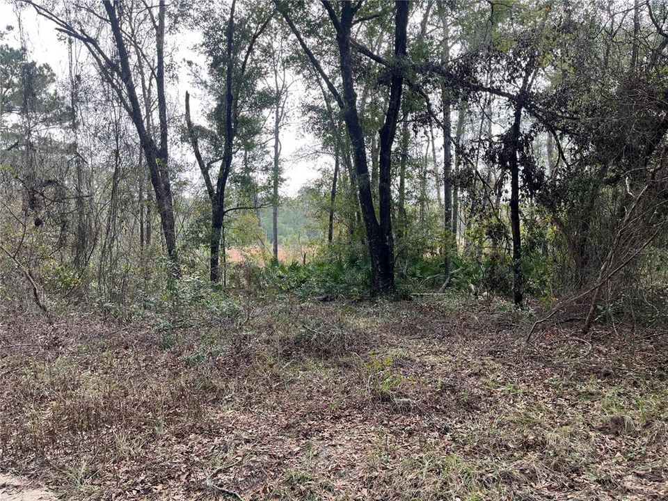 最近售出: $10,900 (0.51 acres)