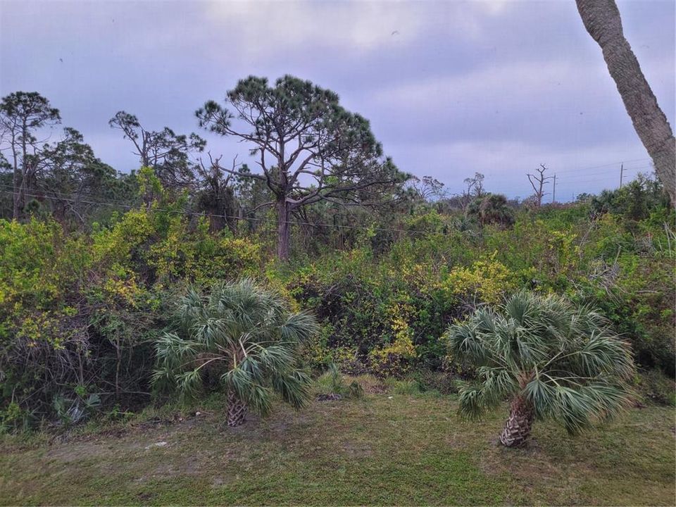 出租: $2,850 (2 贝兹, 2 浴室, 1058 平方英尺)