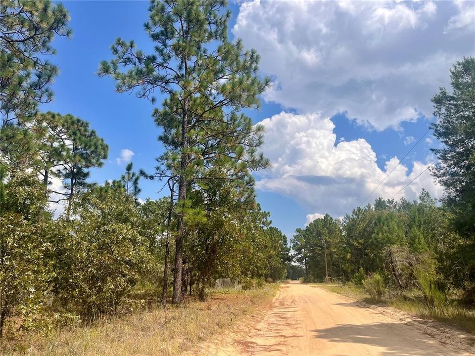 На продажу: $12,800 (0.46 acres)