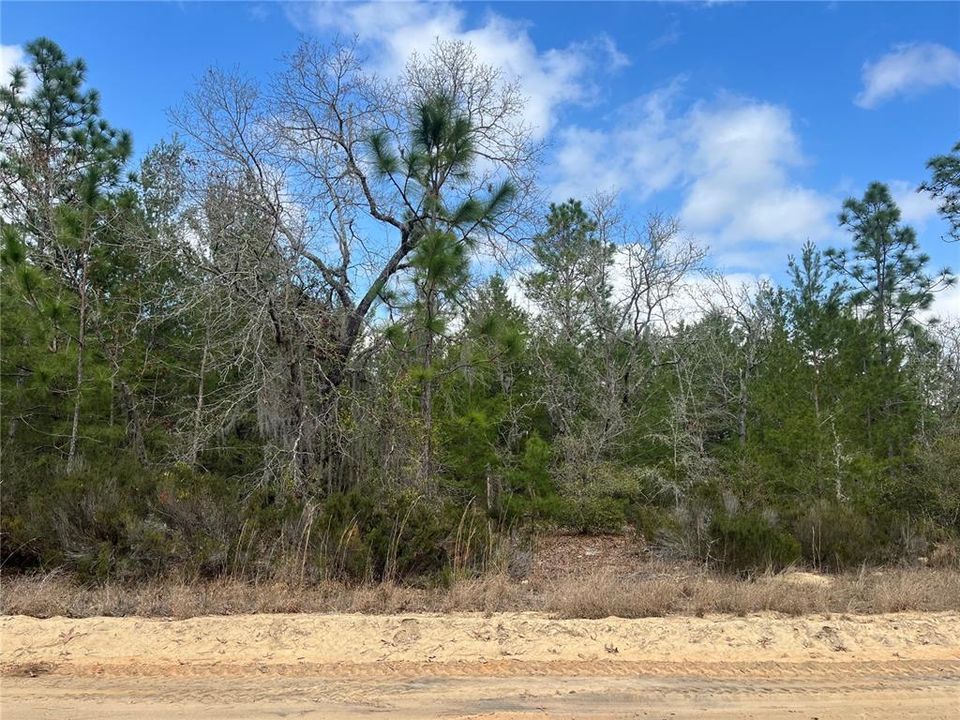 На продажу: $12,800 (0.46 acres)