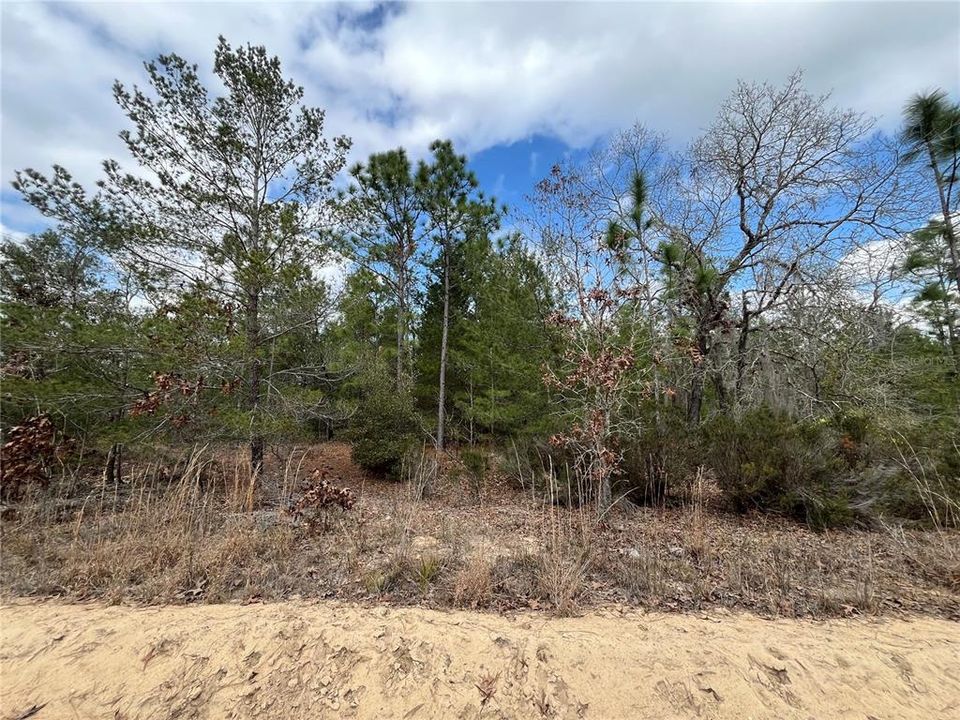 На продажу: $12,800 (0.46 acres)