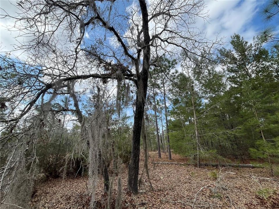 На продажу: $12,800 (0.46 acres)