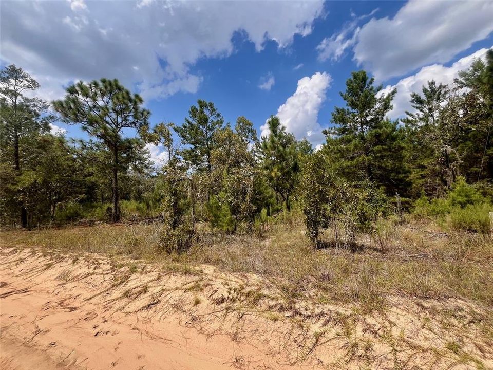 На продажу: $12,800 (0.46 acres)