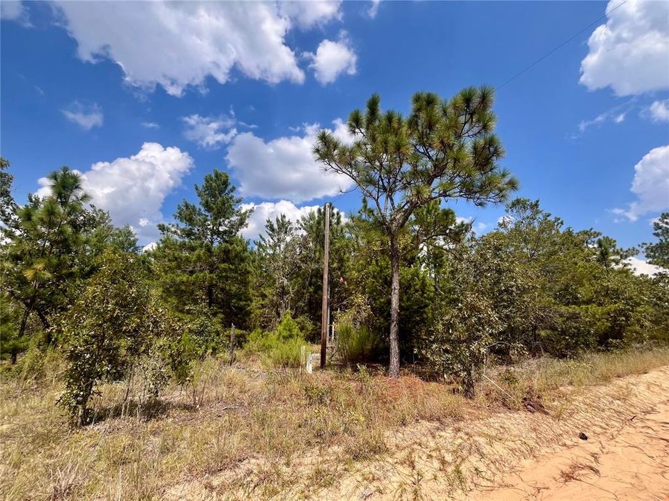 На продажу: $12,800 (0.46 acres)