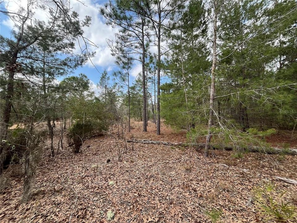 На продажу: $12,800 (0.46 acres)