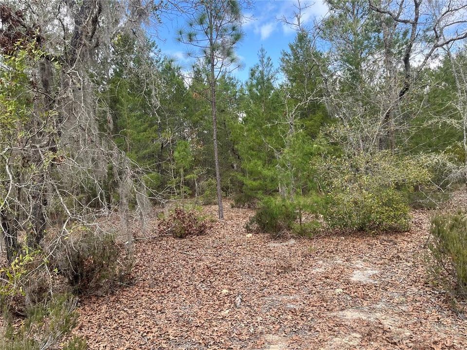 На продажу: $12,800 (0.46 acres)