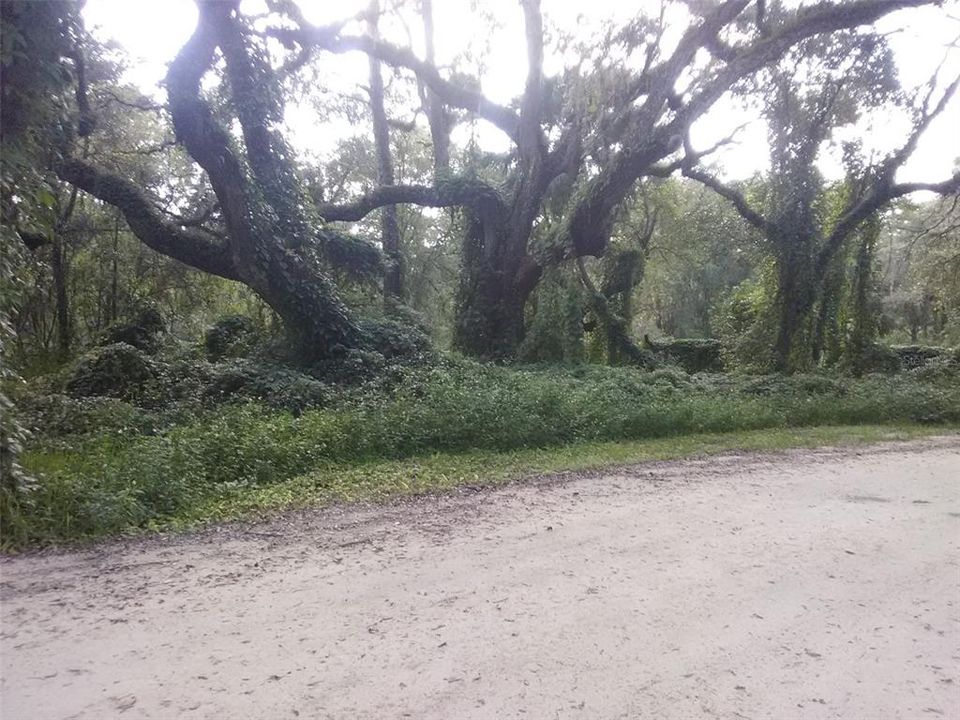 For Sale: $9,950 (0.11 acres)