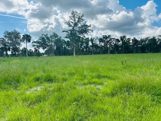 На продажу: $239,000 (6.00 acres)