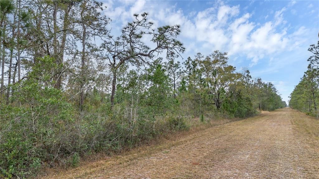 待售: $29,900 (0.50 acres)