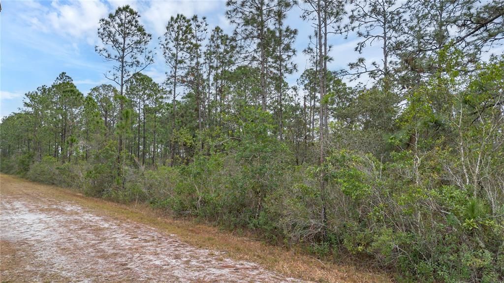 待售: $29,900 (0.50 acres)