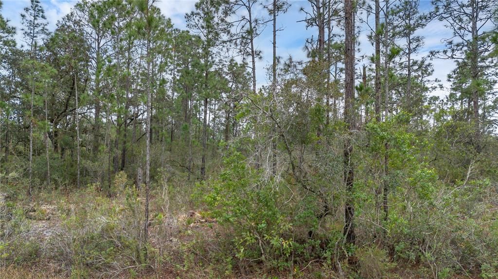 待售: $29,900 (0.50 acres)