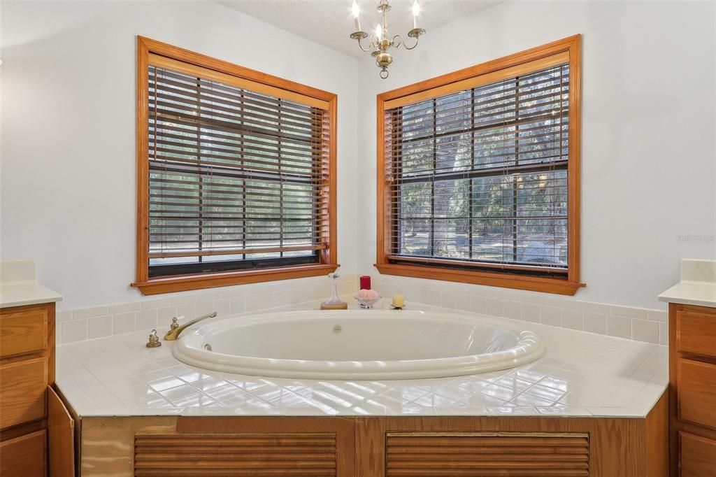 На продажу: $1,237,000 (4 спален, 4 ванн, 4451 Квадратных фут)