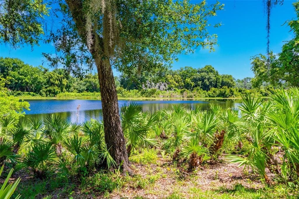 For Sale: $120,000 (0.19 acres)